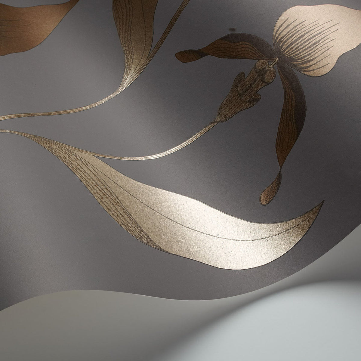 Cole & Son Orchid 95/10056 wallpaper curved detail