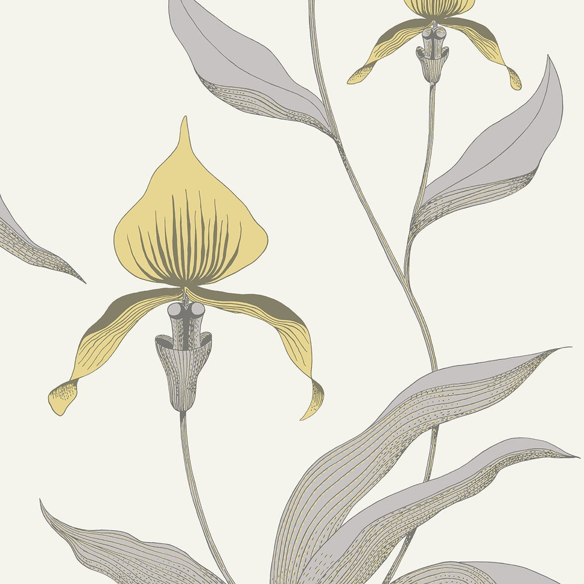 Cole & Son Orchid 95/10057 wallpaper pattern