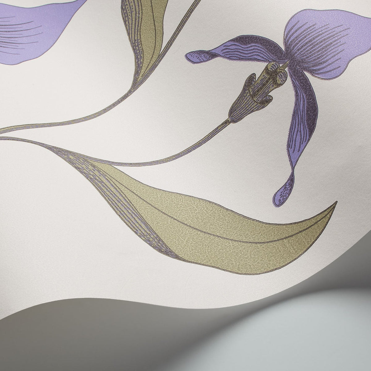 Cole & Son Orchid 66/4024 wallpaper curved detail