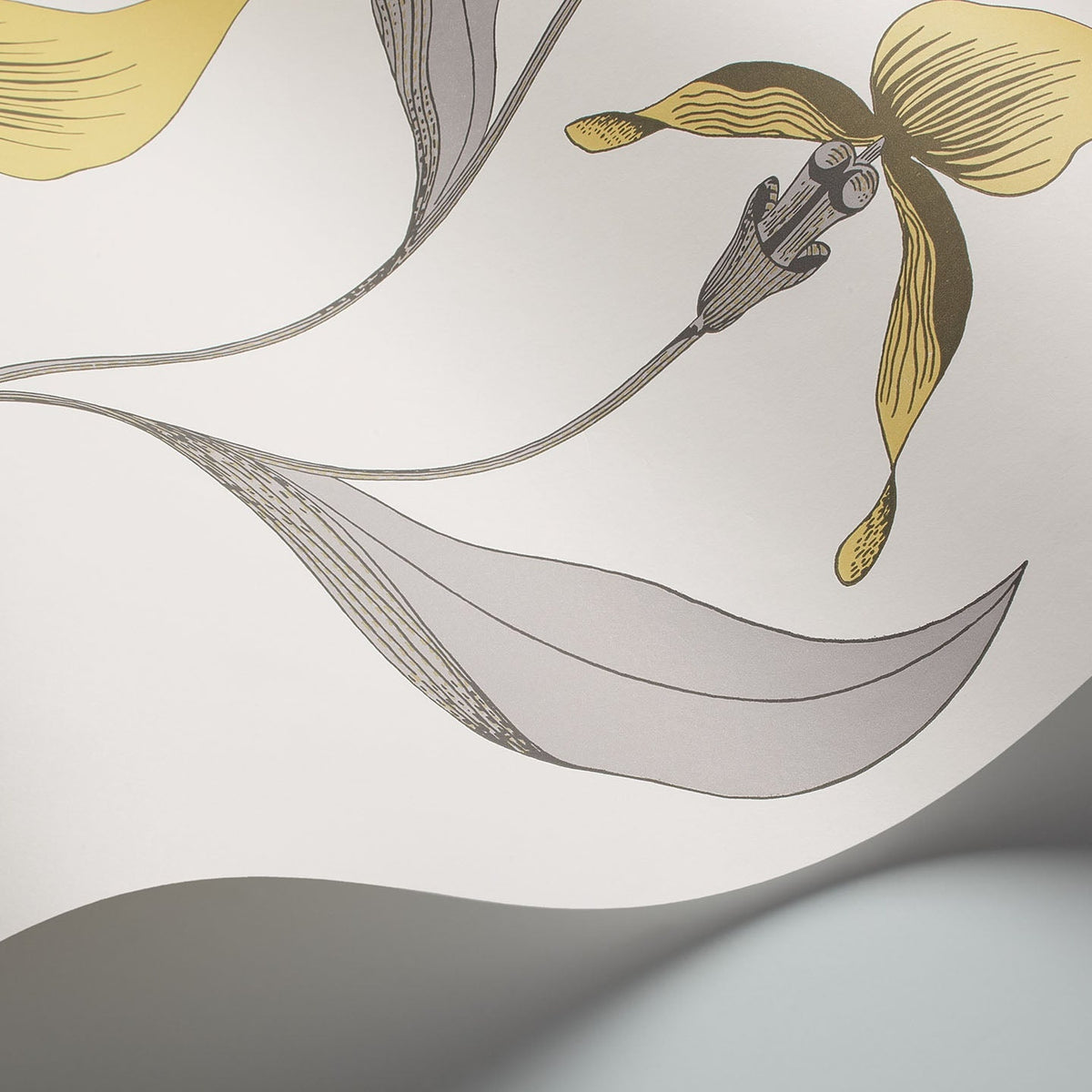 Cole & Son Orchid 95/10057 wallpaper curved detail