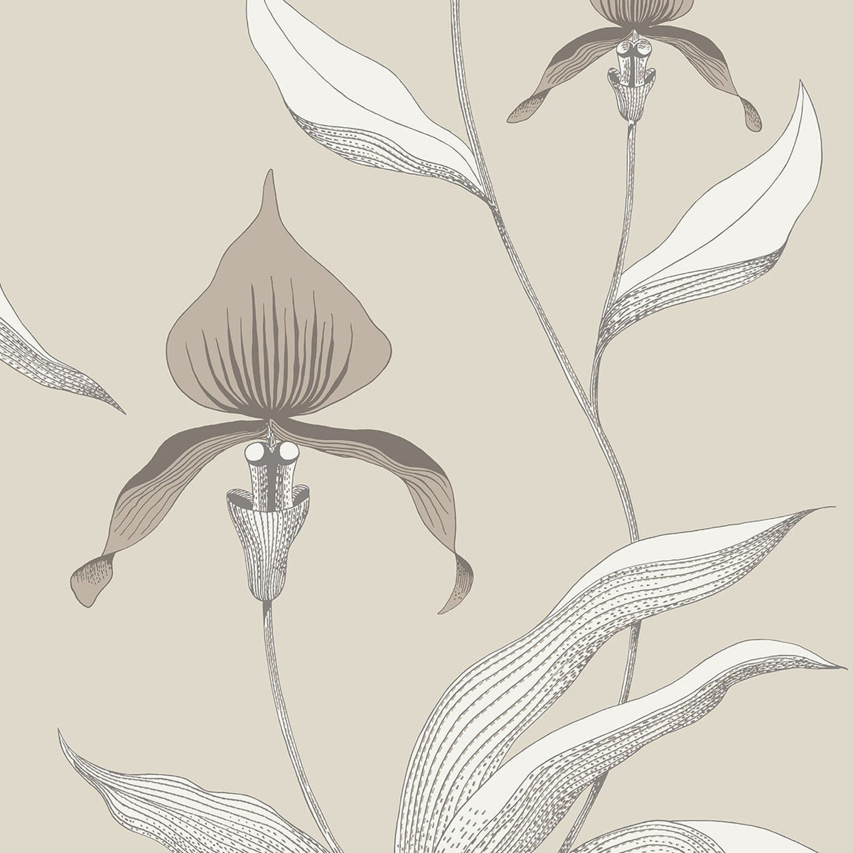 Cole & Son Orchid 95/10058 wallpaper pattern