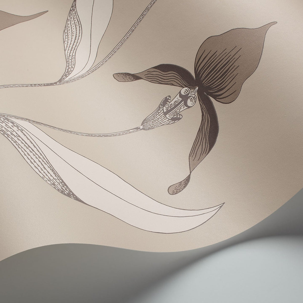 Cole & Son Orchid 95/10058 wallpaper curved detail