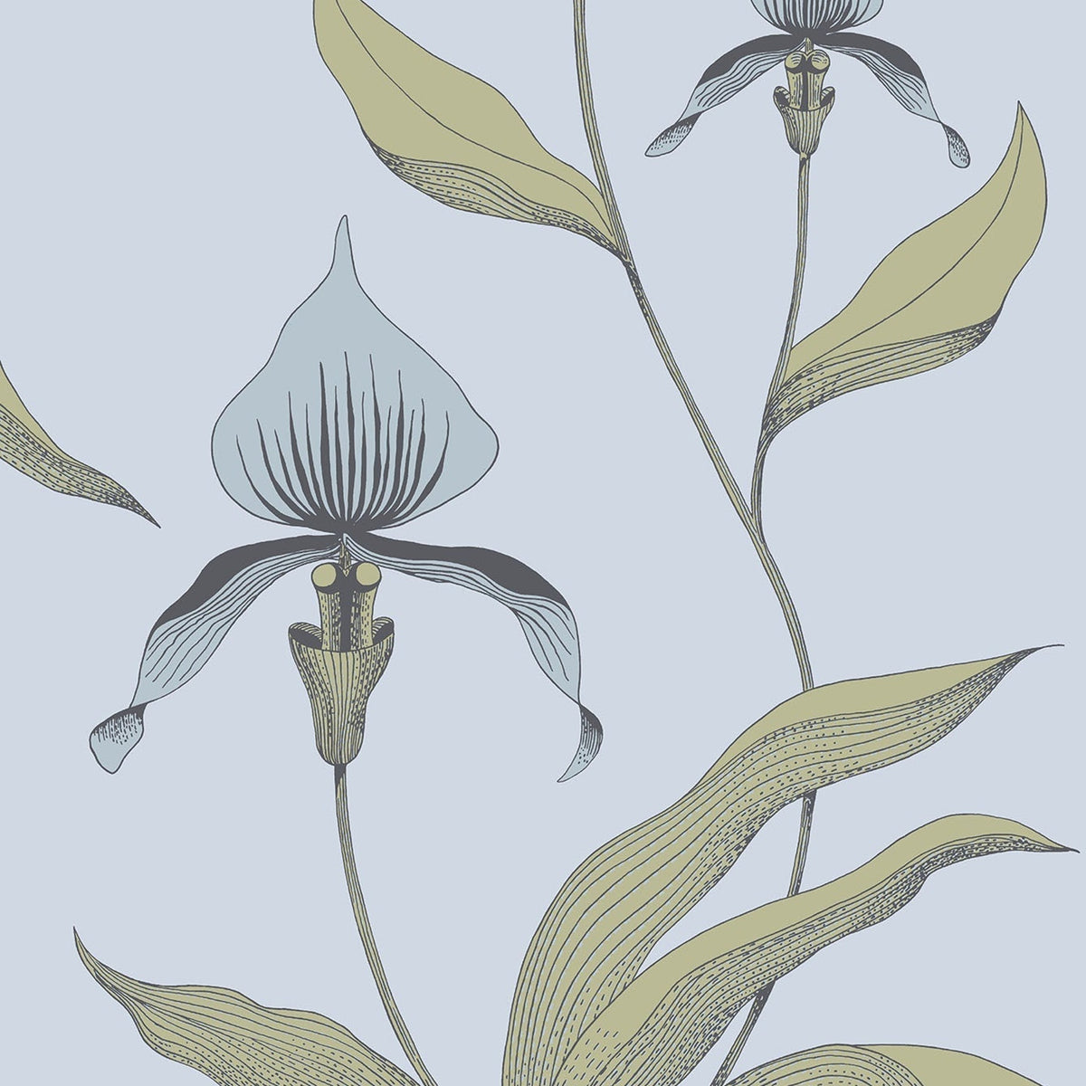 Cole & Son Orchid 66/4026 wallpaper pattern
