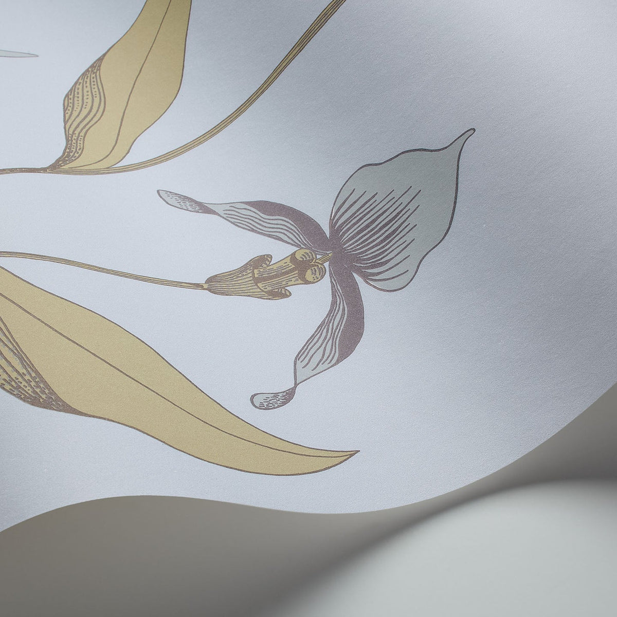Cole & Son Orchid 66/4026 wallpaper curved detail