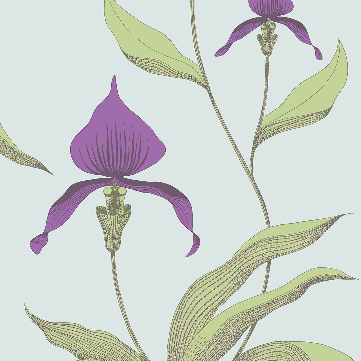Cole & Son Orchid 66/4027 wallpaper pattern