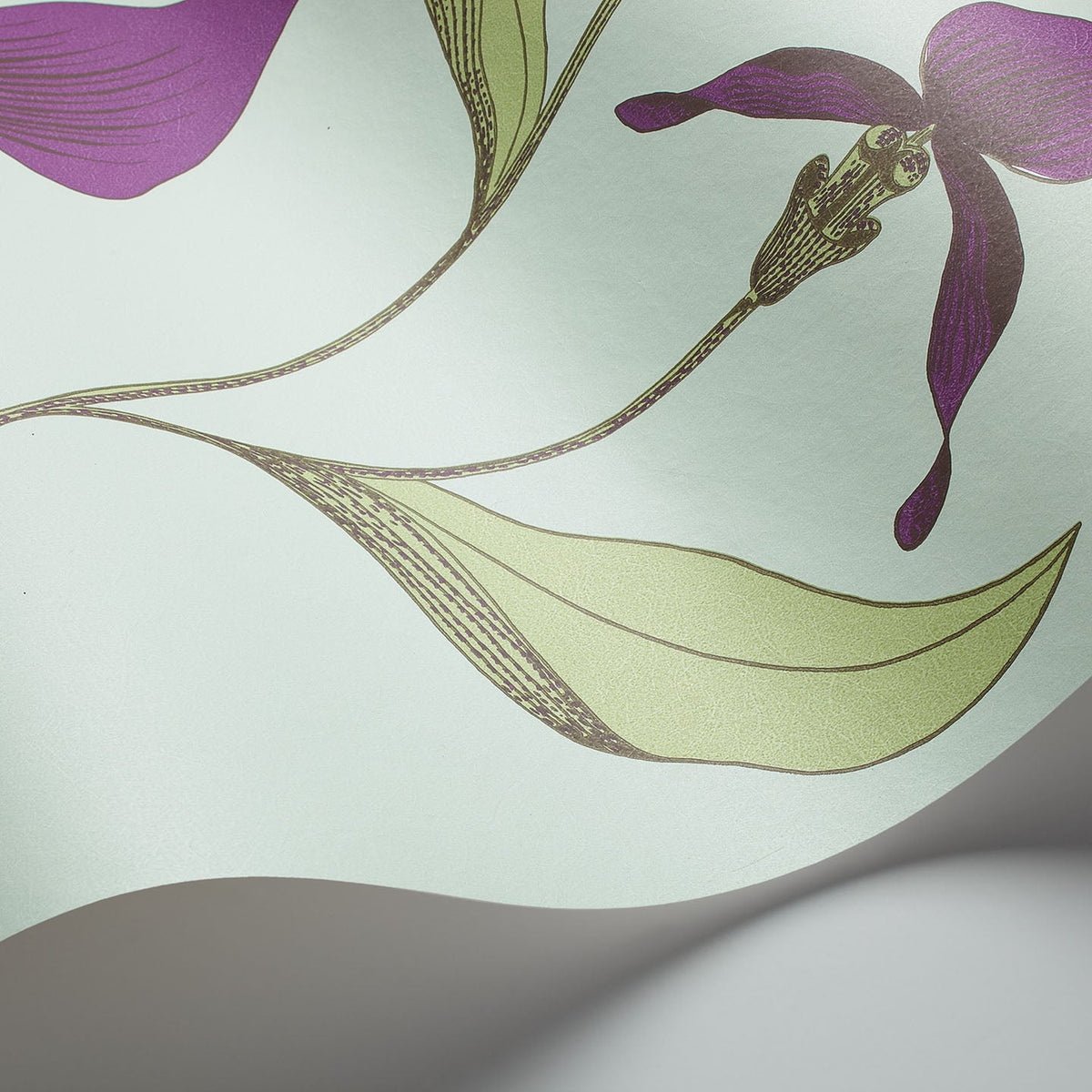 Cole & Son Orchid 66/4027 wallpaper curved detail