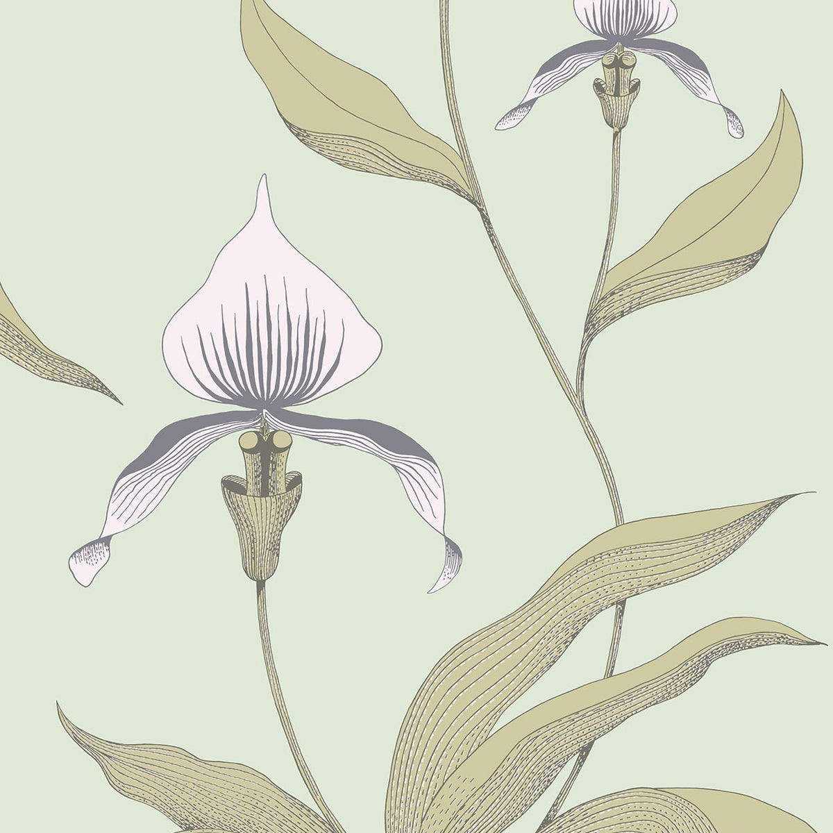 Cole & Son Orchid 66/4028 wallpaper pattern