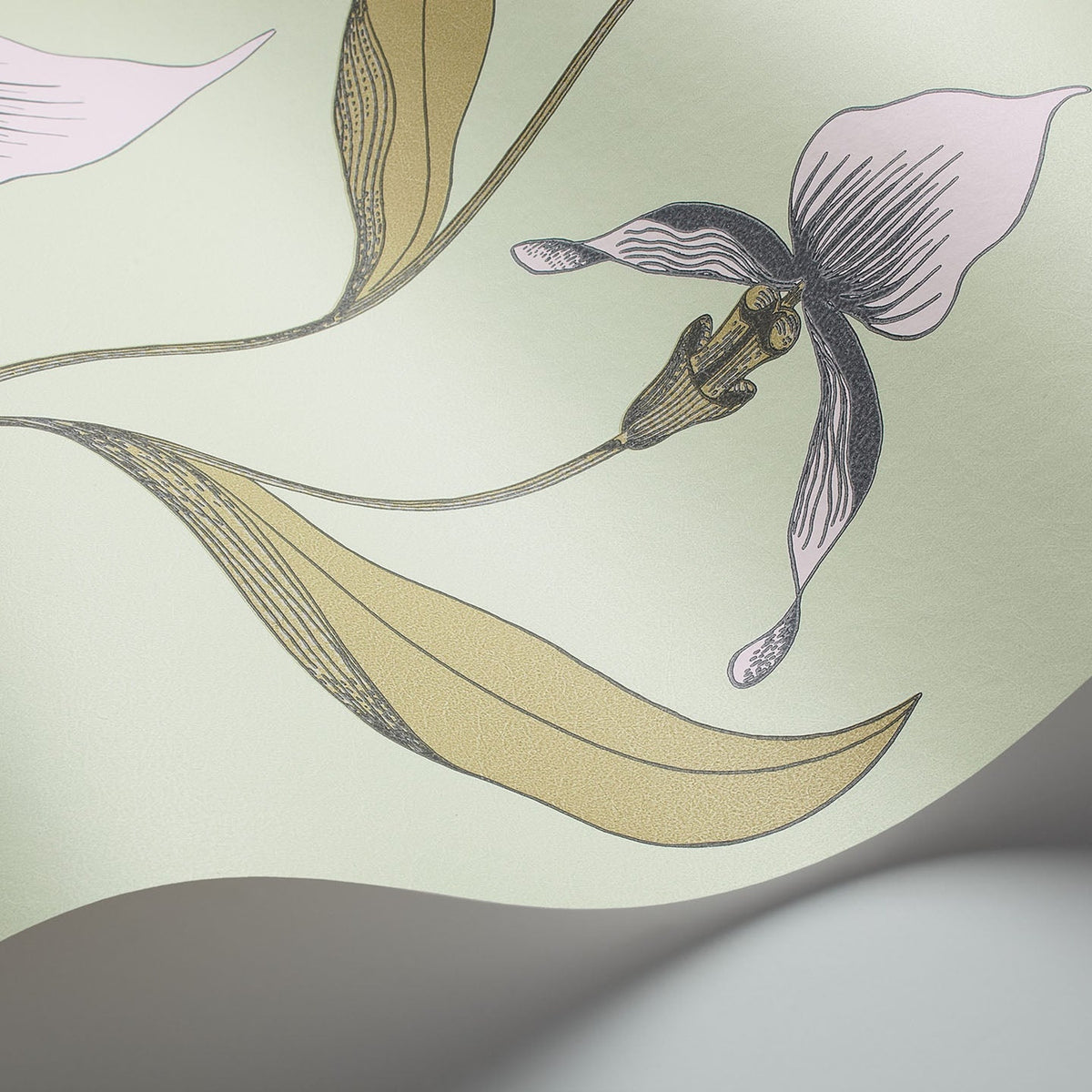 Cole & Son Orchid 66/4028 wallpaper curved detail