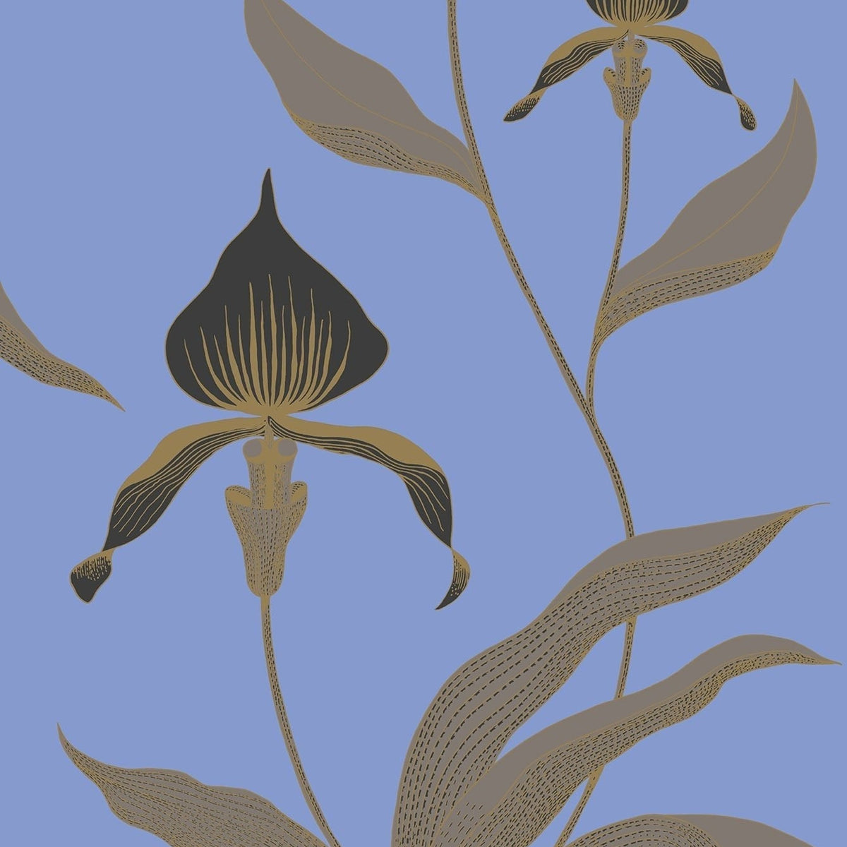Cole & Son Orchid 66/4030 wallpaper pattern