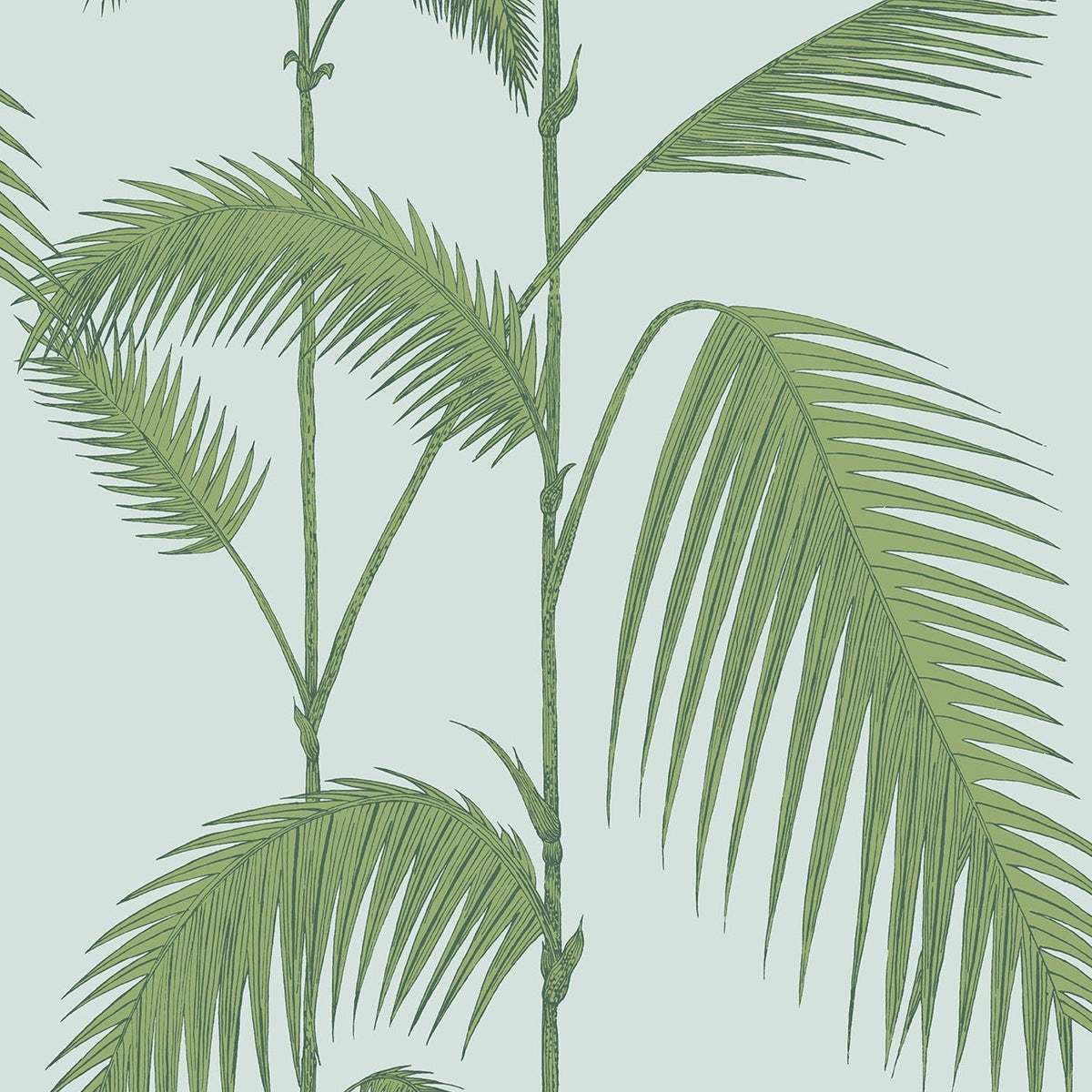 Cole & Son Palm Leaves 66/2010 wallpaper pattern