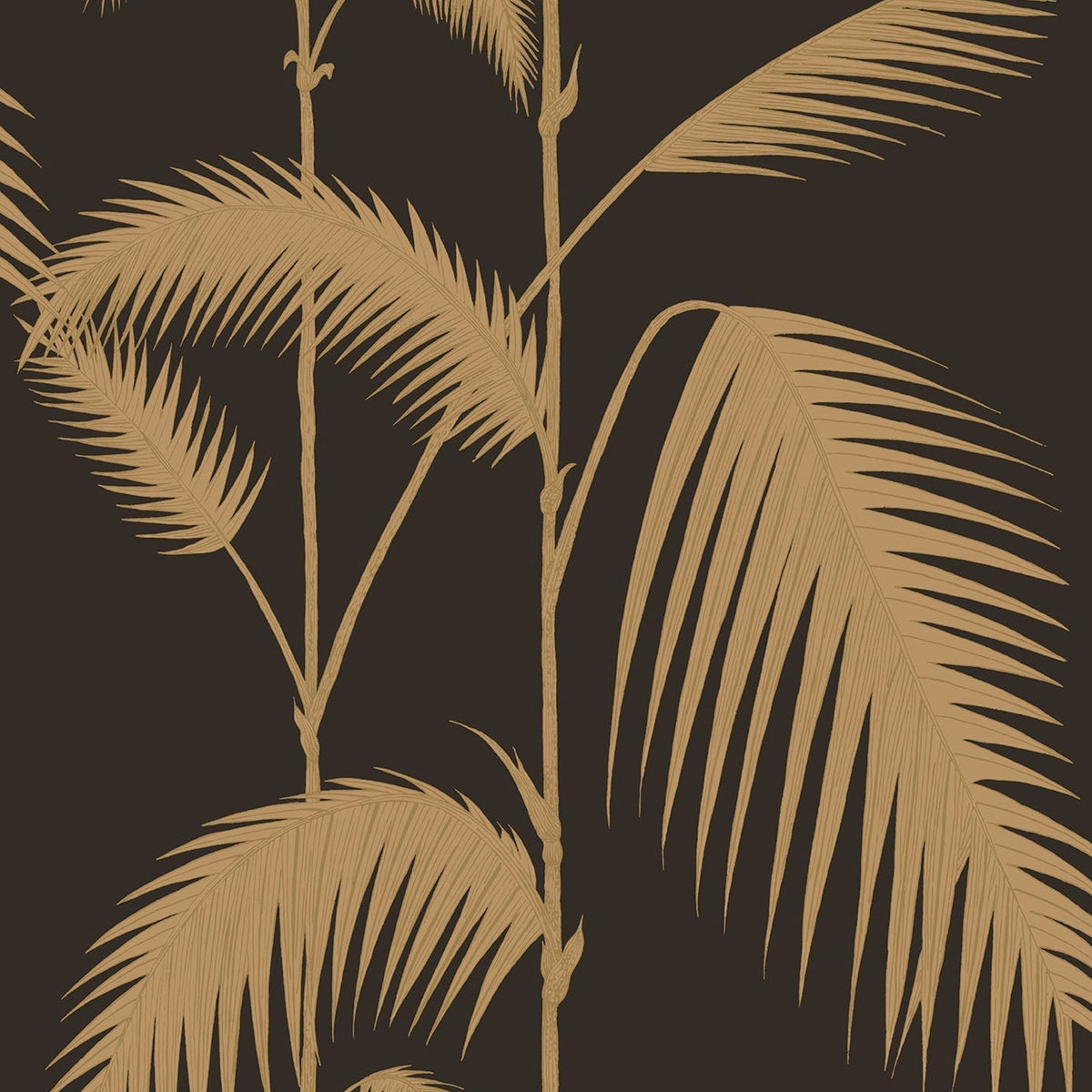 Cole & Son Palm Leaves 66/2014 wallpaper pattern