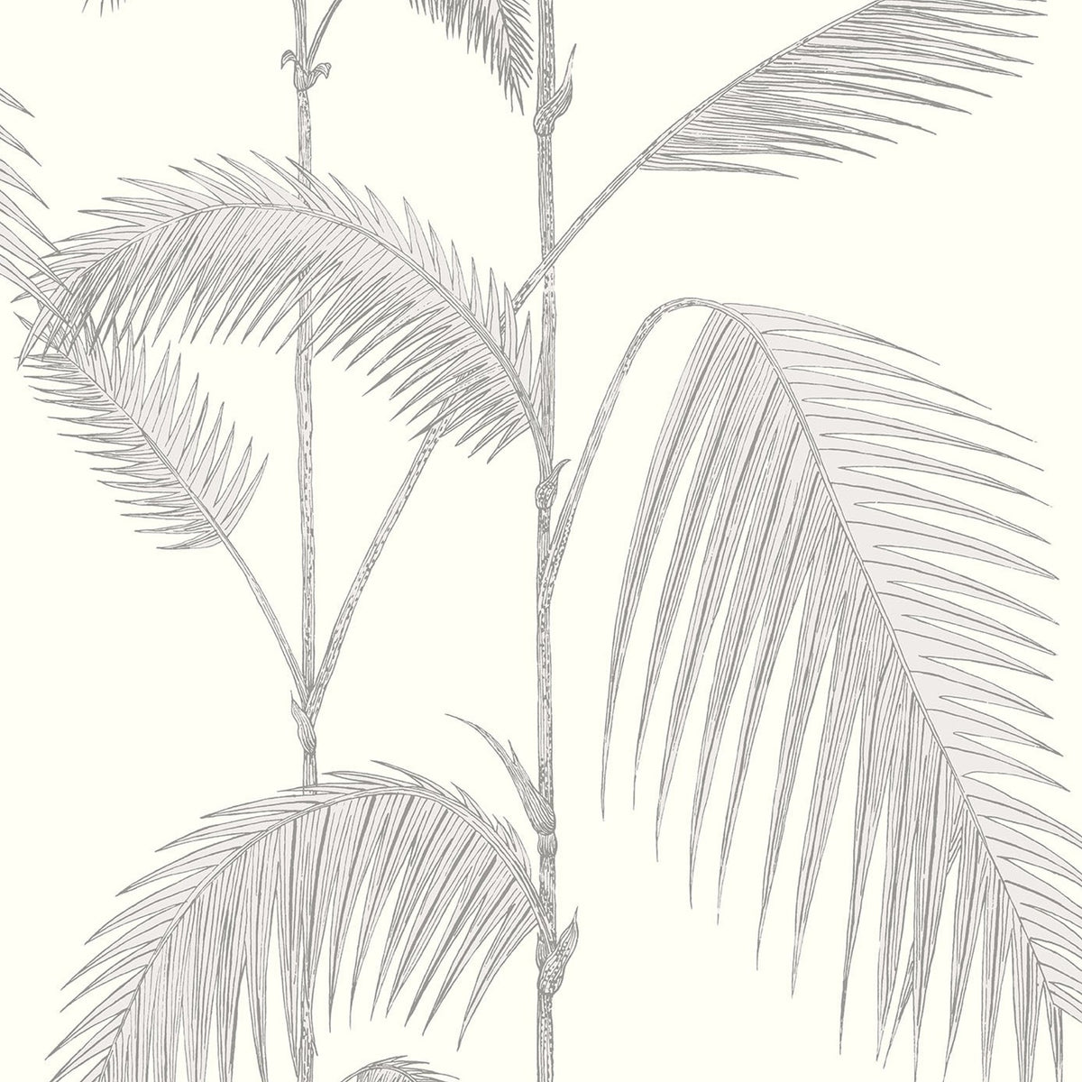 Cole & Son Palm Leaves 95/1008 wallpaper pattern