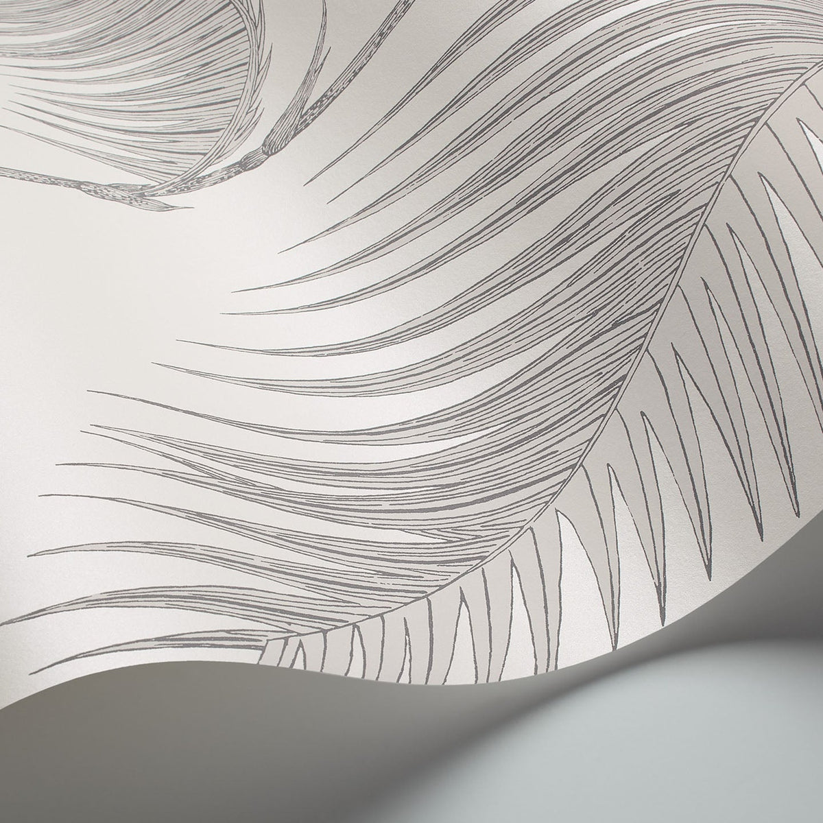 Cole & Son Palm Leaves 95/1008 wallpaper curved detail
