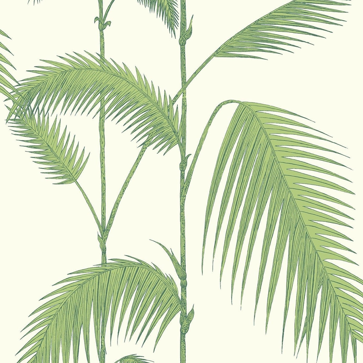 Cole & Son Palm Leaves 95/1009 wallpaper pattern