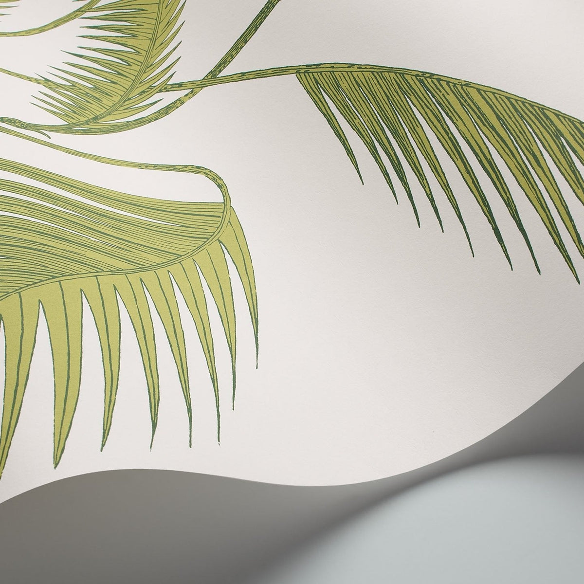 Cole & Son Palm Leaves 95/1009 wallpaper curved detail