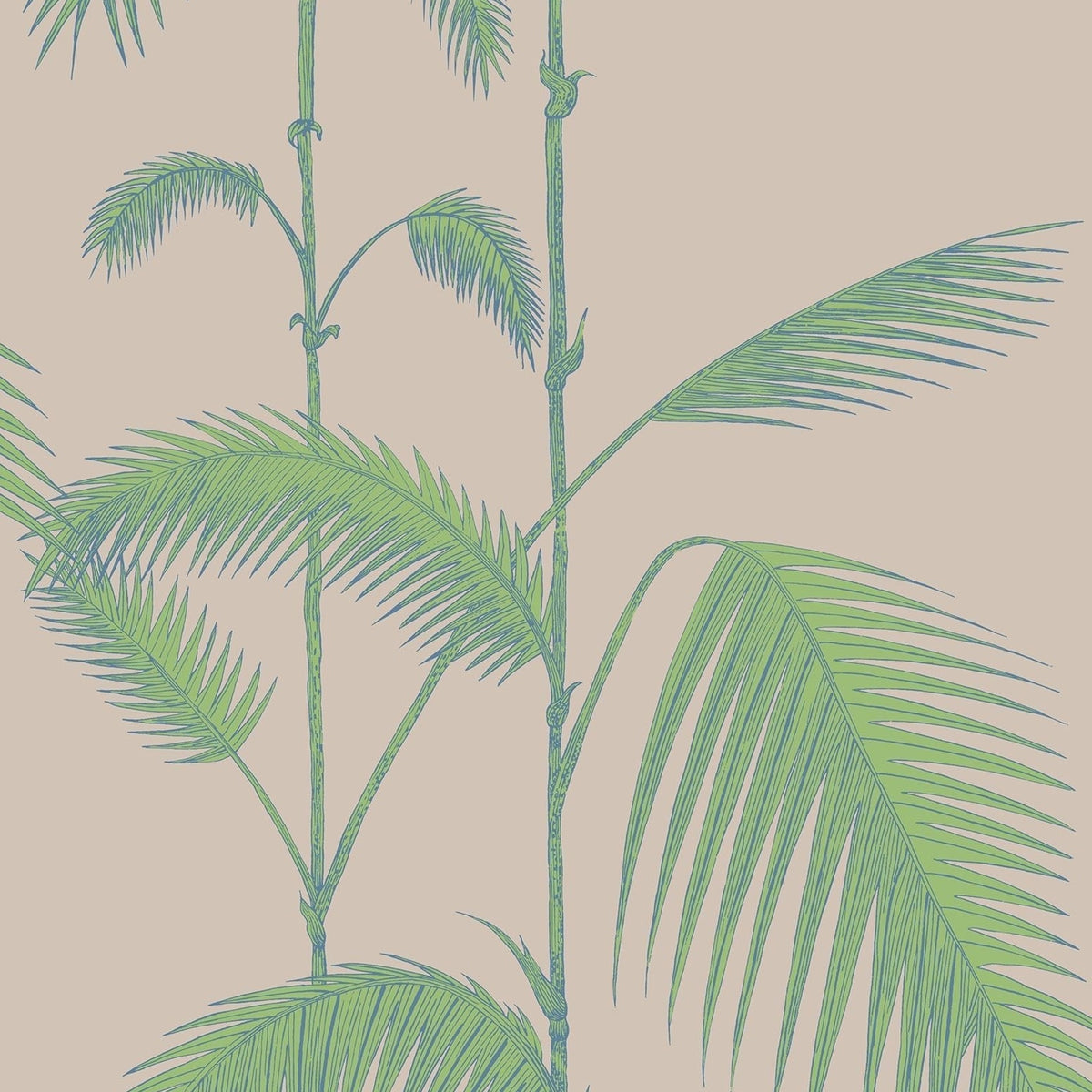 Cole & Son Palm Leaves 66/2011 wallpaper pattern