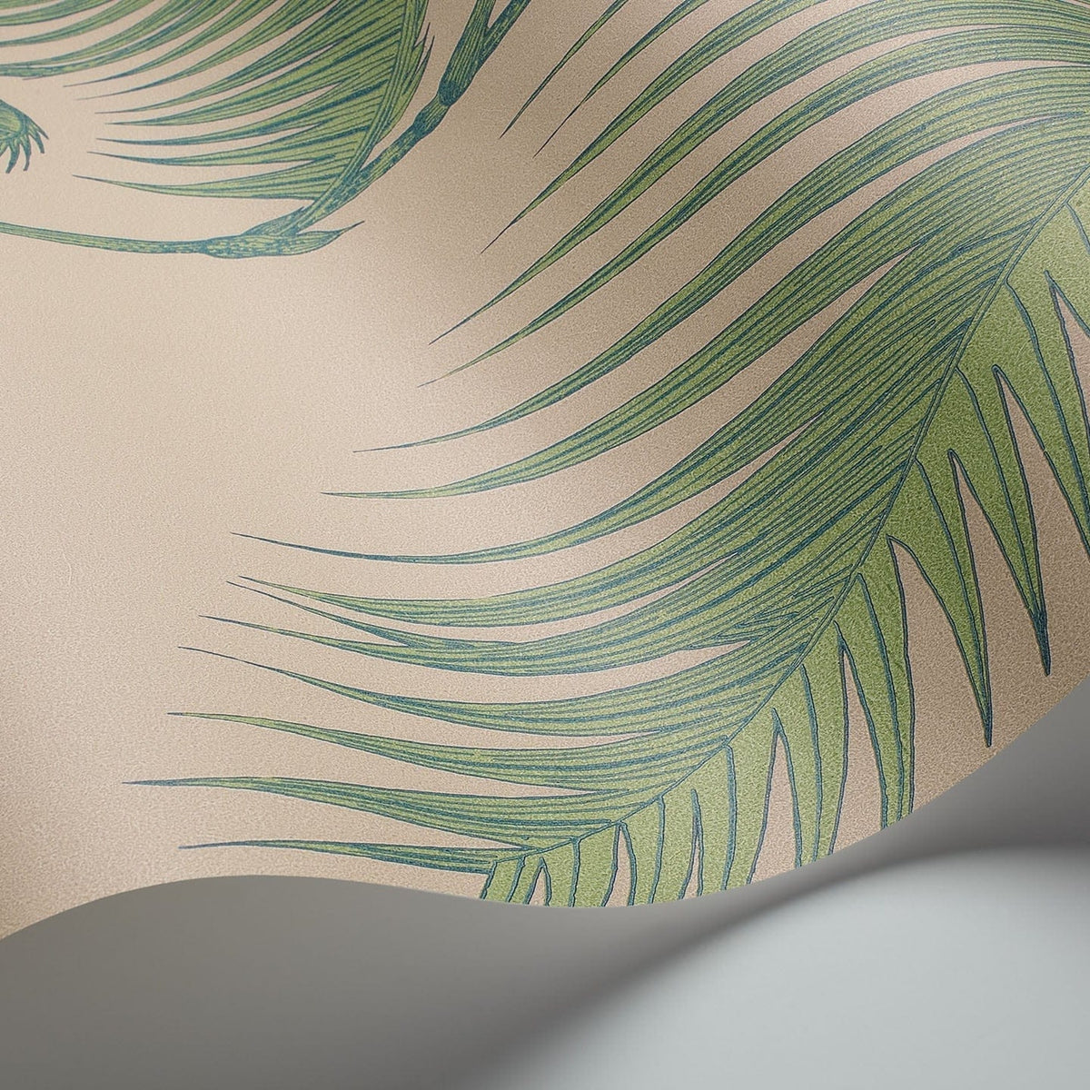 Cole & Son Palm Leaves 66/2011 wallpaper curved detail