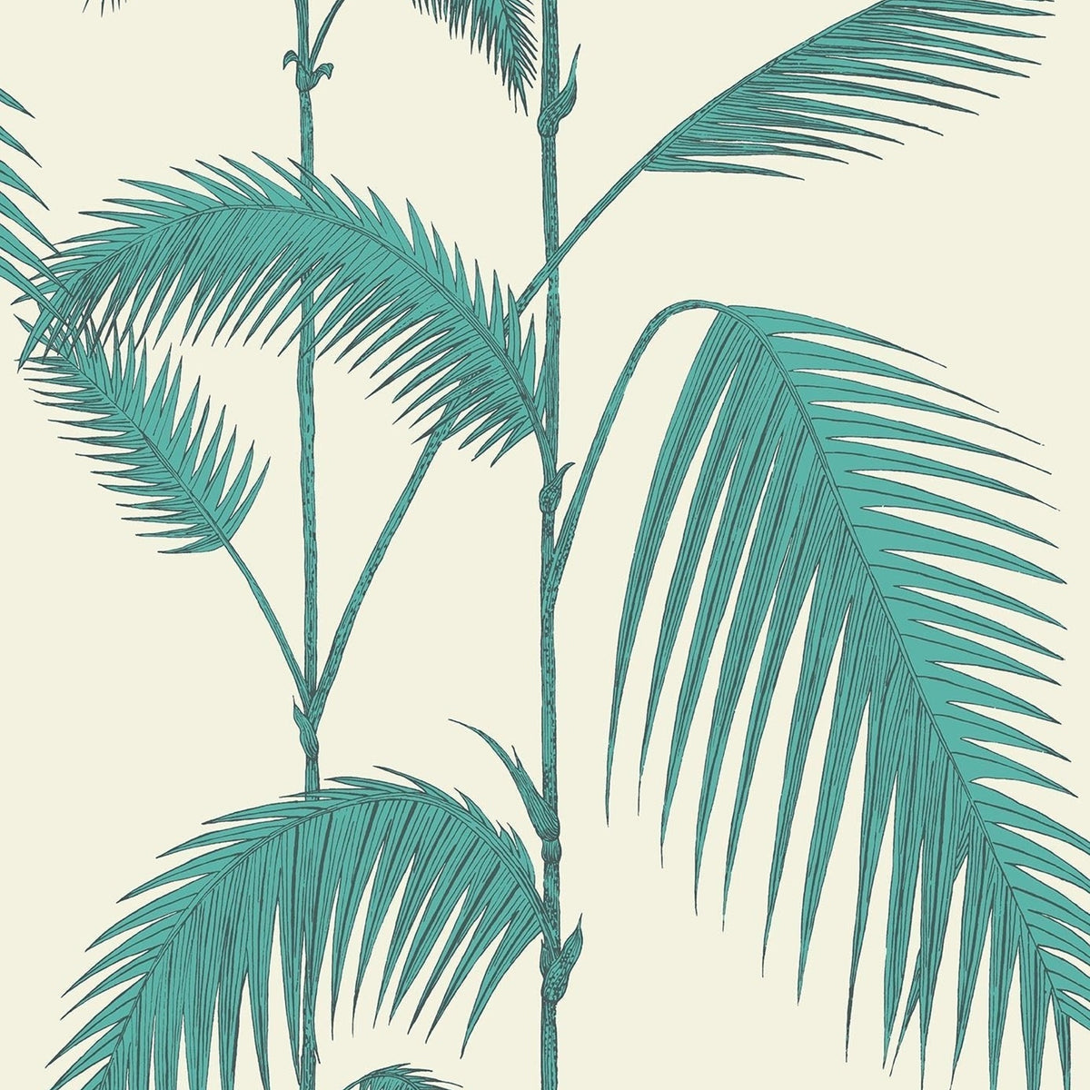 Cole & Son Palm Leaves 66/2012 wallpaper pattern