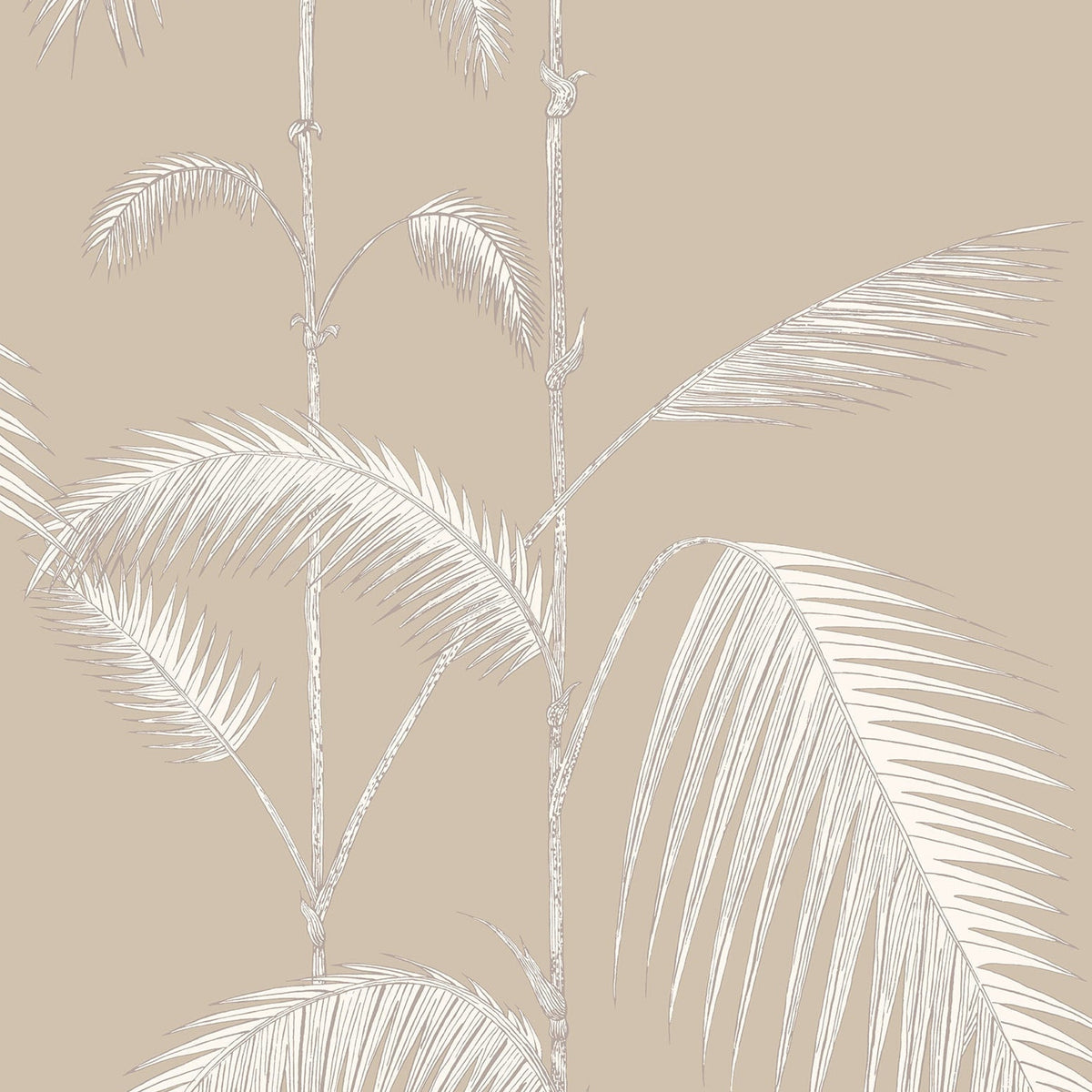 Cole & Son Palm Leaves 66/2013 wallpaper pattern