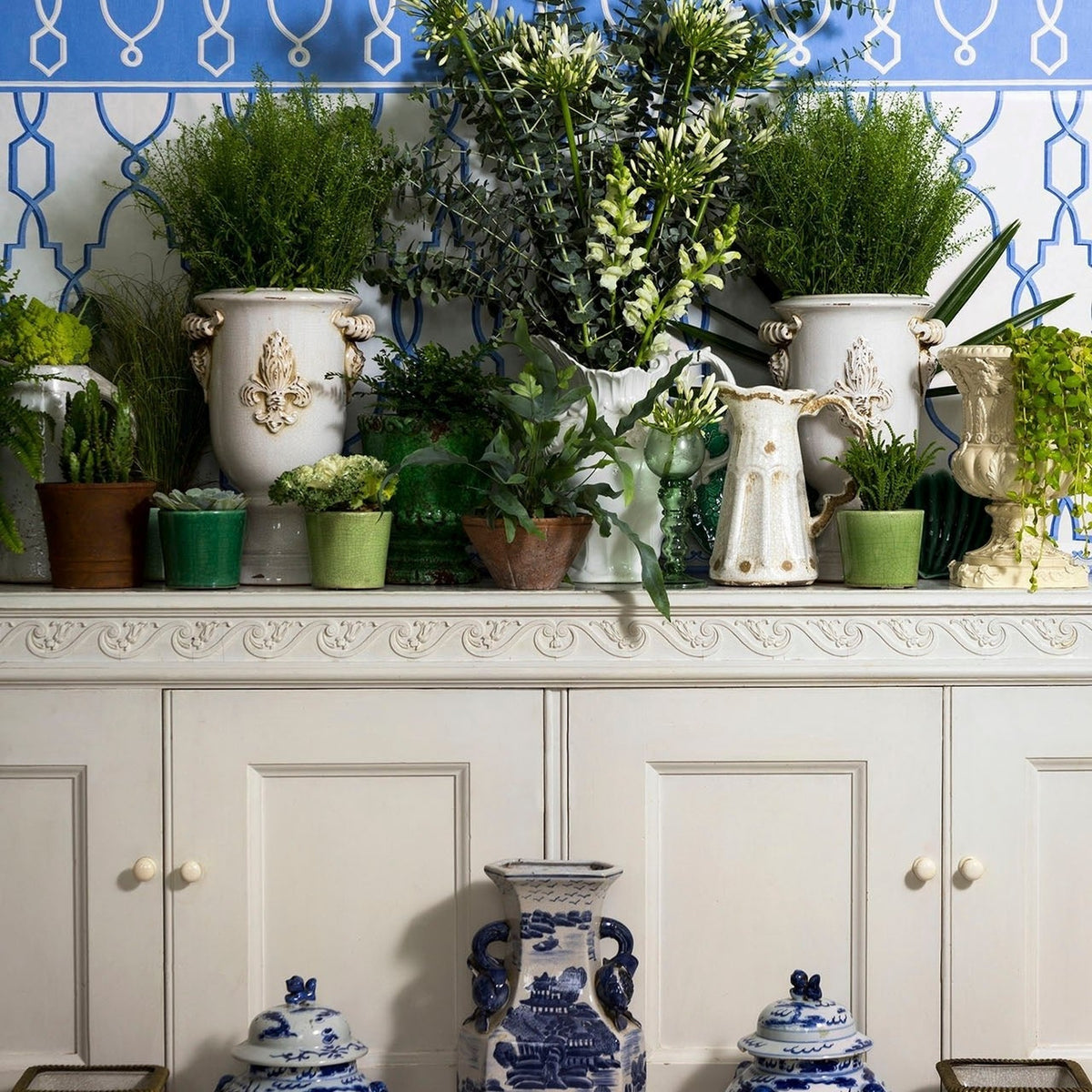 Cole & Son Parterre Border — Hyacinth Blue room setting