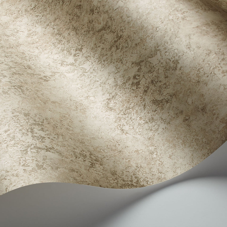Cole & Son Patina Haze wallpaper — Warm Metallic Gilver detail