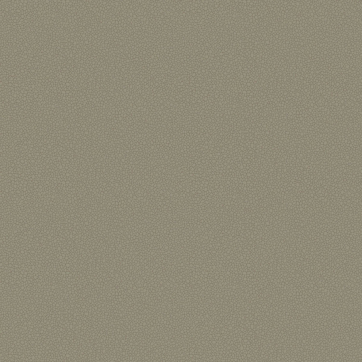 Cole & Son Pebble wallpaper — Linen