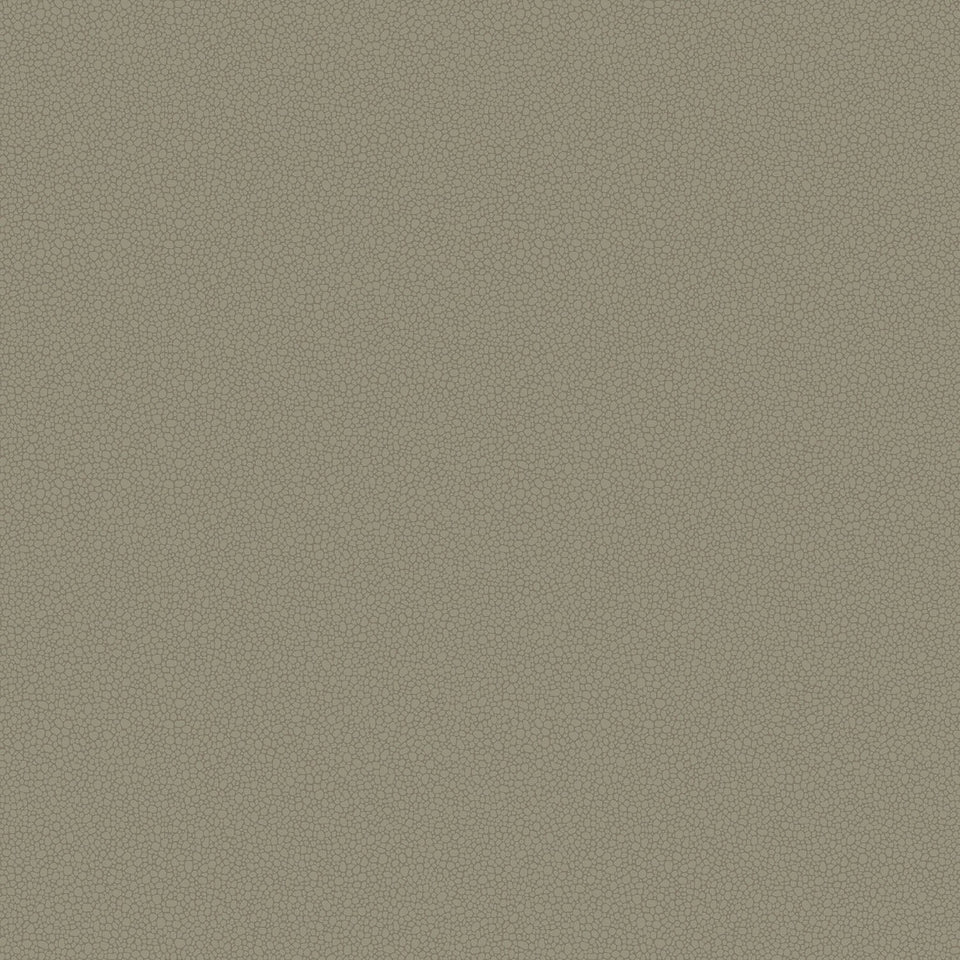 Cole & Son Pebble wallpaper — Linen