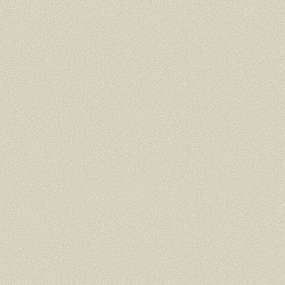 Cole & Son Pebble wallpaper — Parchment