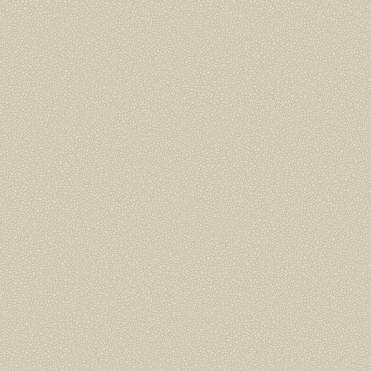Cole & Son Pebble wallpaper — Stone