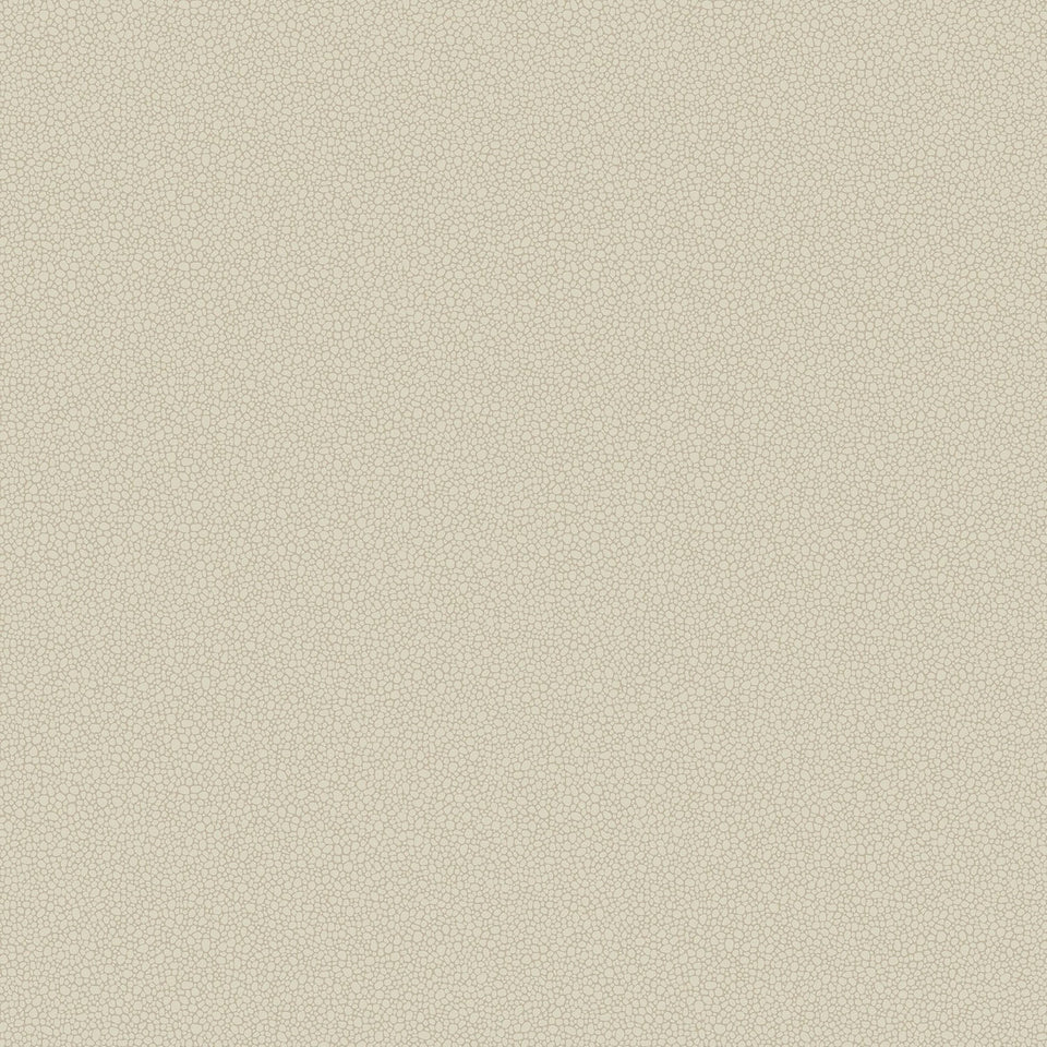 Cole & Son Pebble wallpaper — Stone