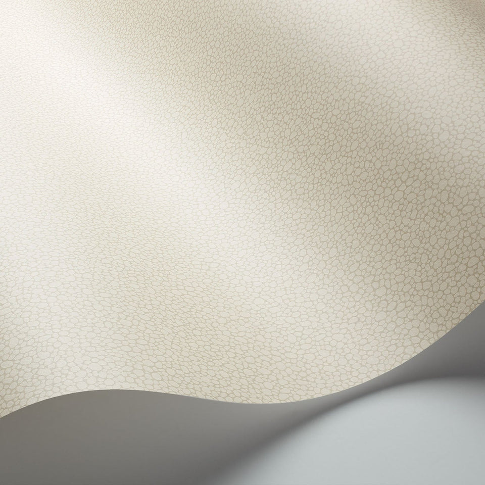 Cole & Son Pebble wallpaper — Stone detail