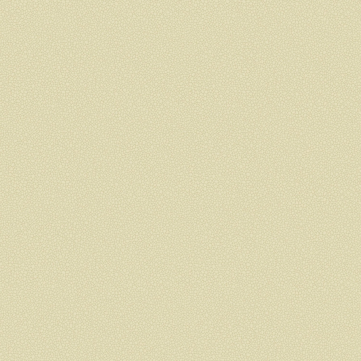 Cole & Son Pebble wallpaper — Cream