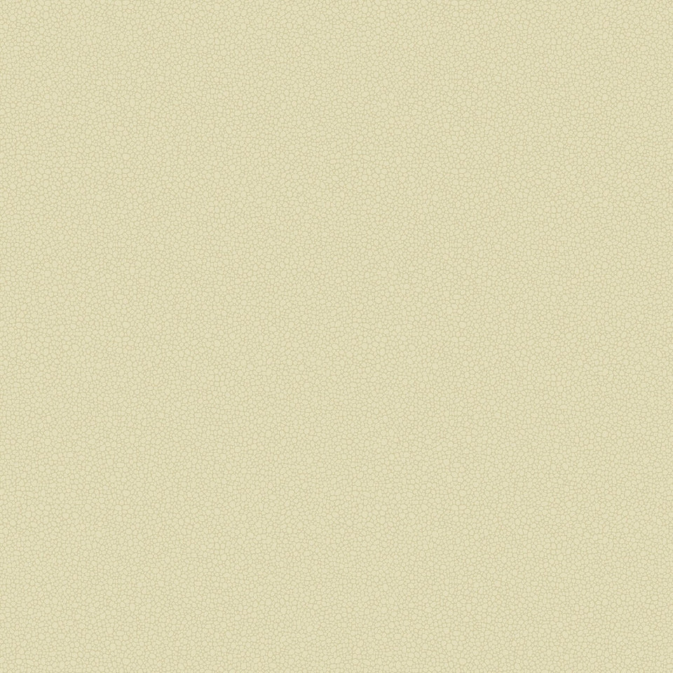 Cole & Son Pebble wallpaper — Cream