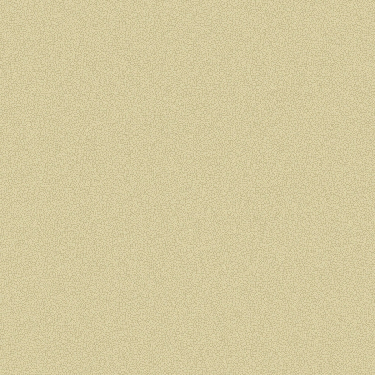 Cole & Son Pebble wallpaper — Oat