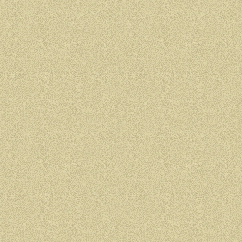 Cole & Son Pebble wallpaper — Oat