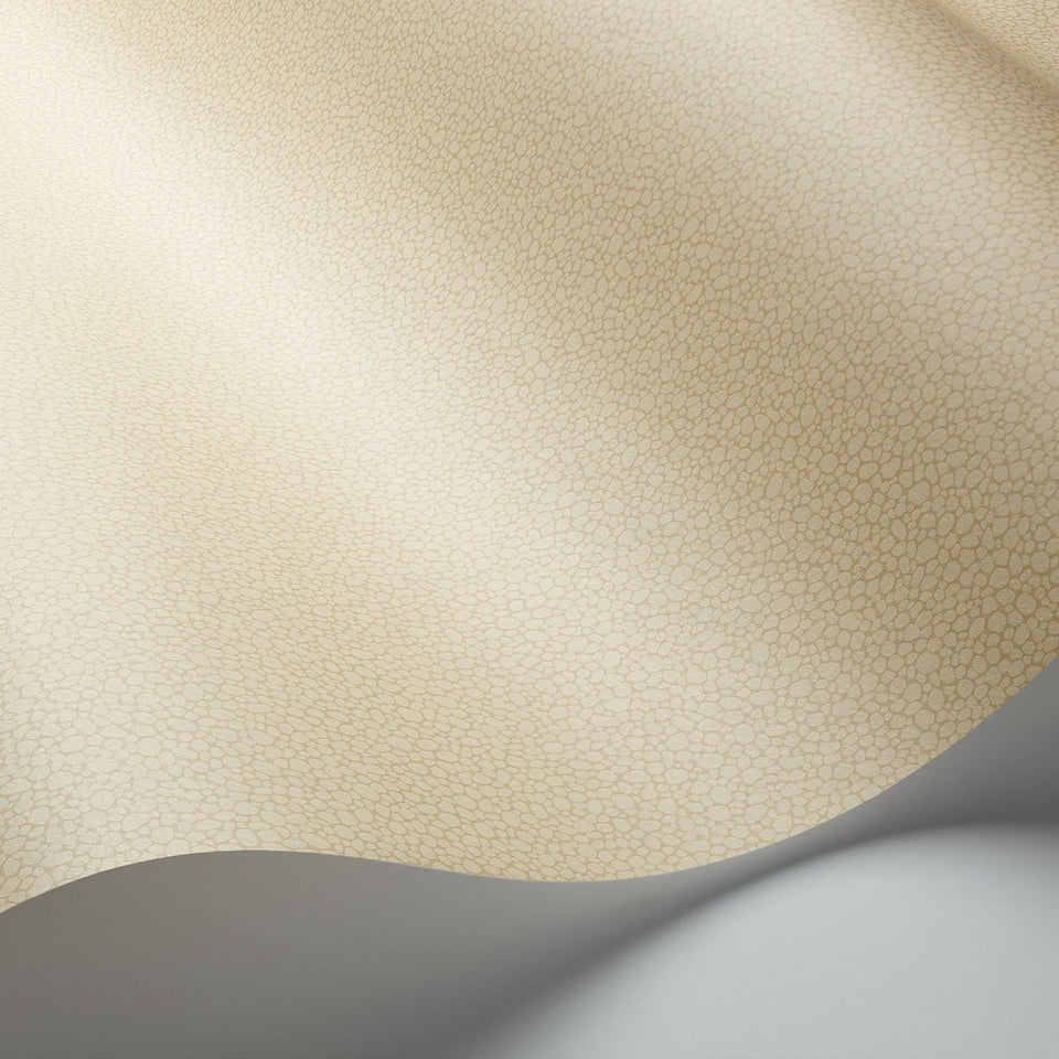 Cole & Son Pebble wallpaper — Oat detail