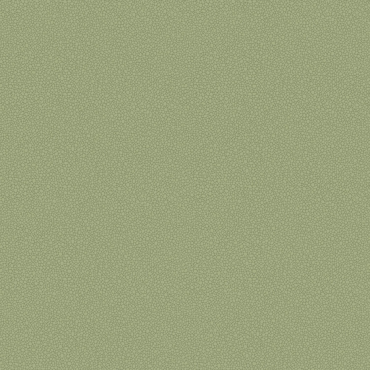Cole & Son Pebble wallpaper — Old Olive