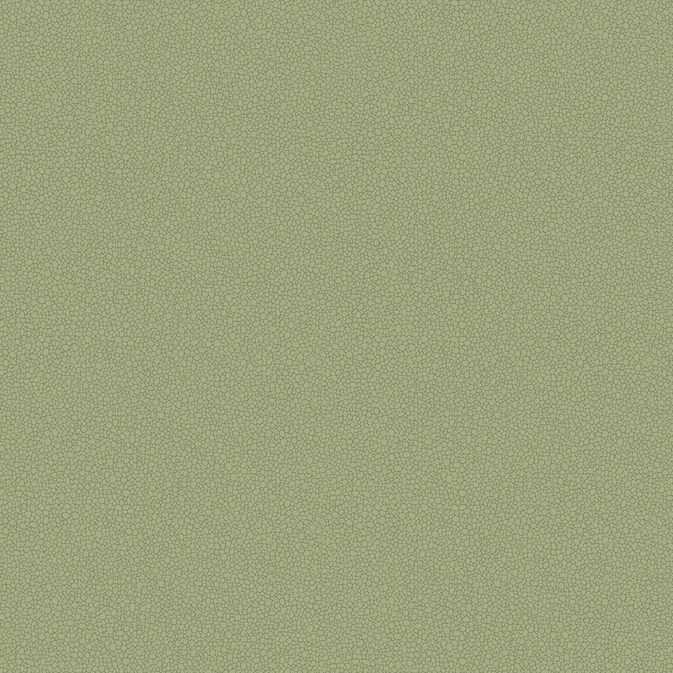 Cole & Son Pebble wallpaper — Old Olive