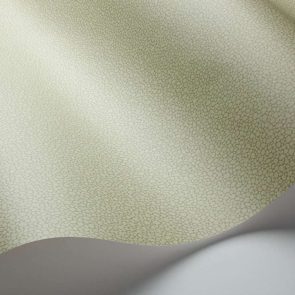 Cole & Son Pebble wallpaper — Old Olive detail