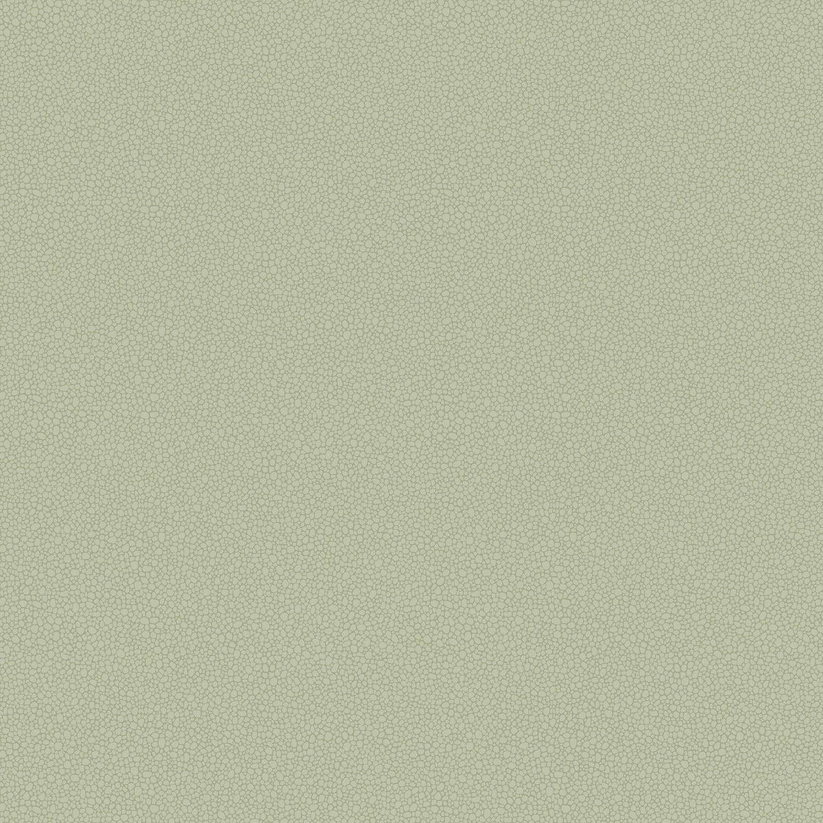 Cole & Son Pebble wallpaper — Soft Olive