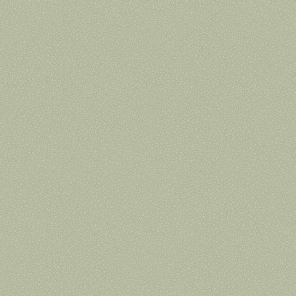 Cole & Son Pebble wallpaper — Soft Olive