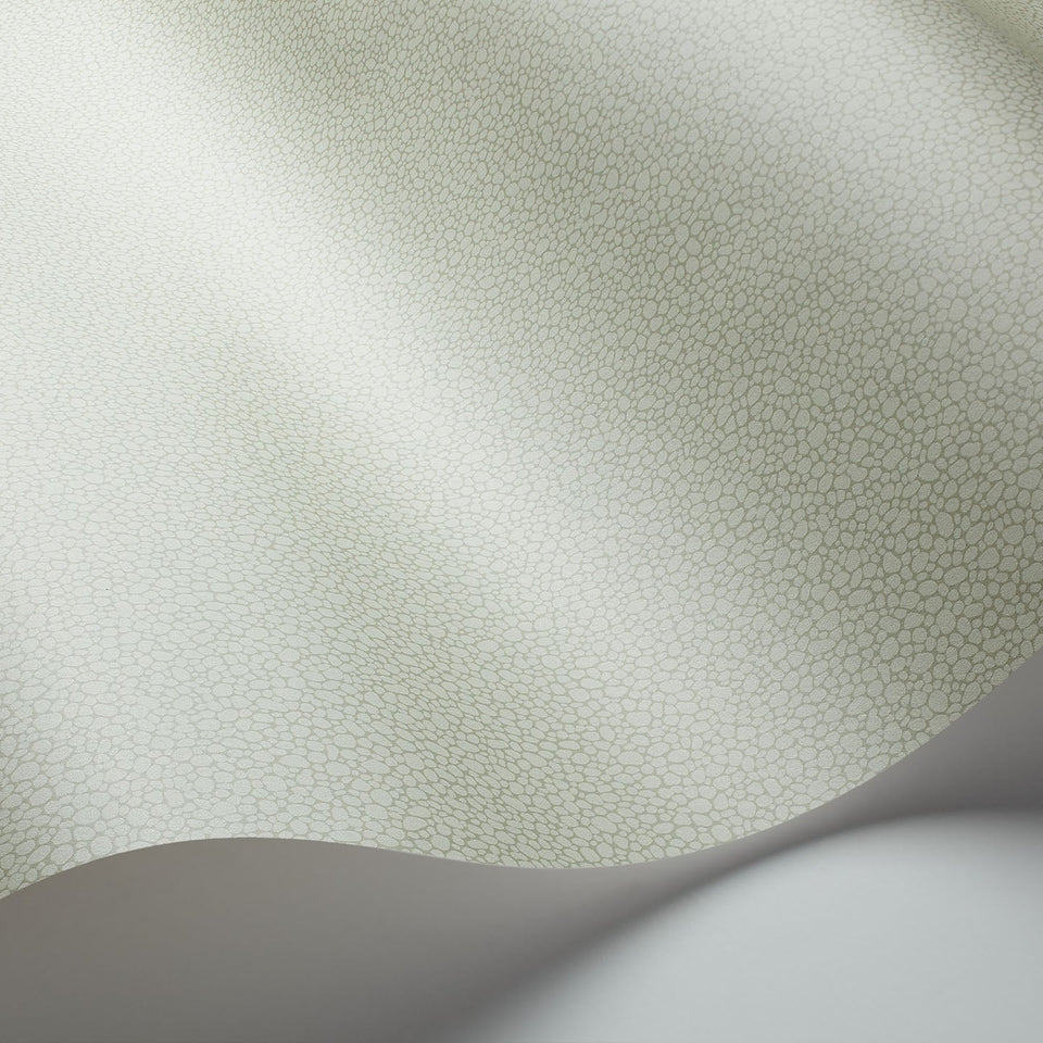 Cole & Son Pebble wallpaper — Soft Olive detail