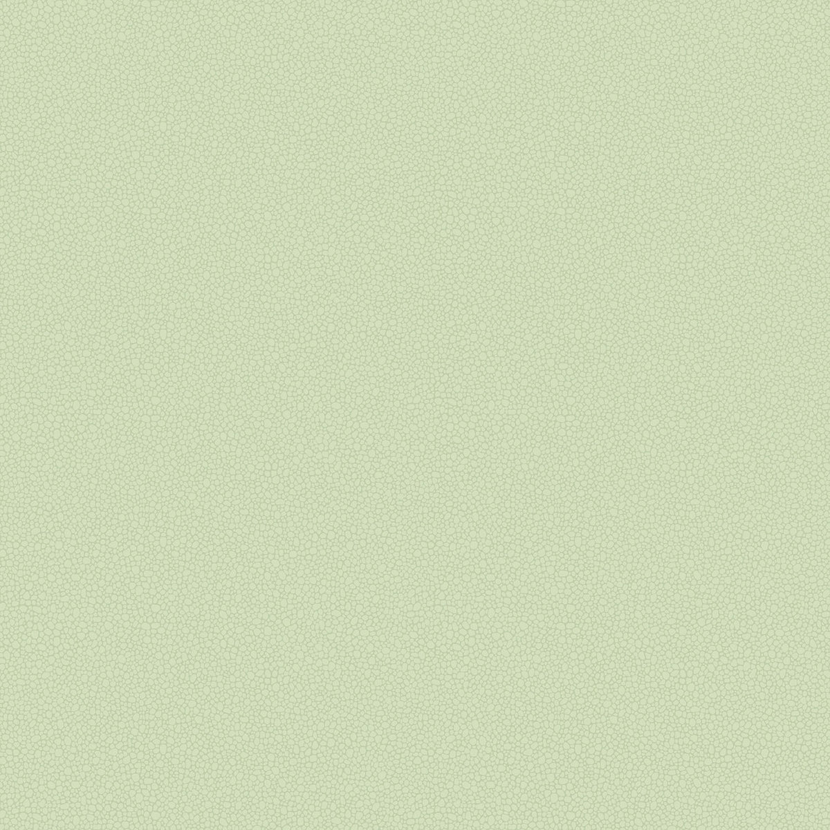 Cole & Son Pebble wallpaper — Duck Egg