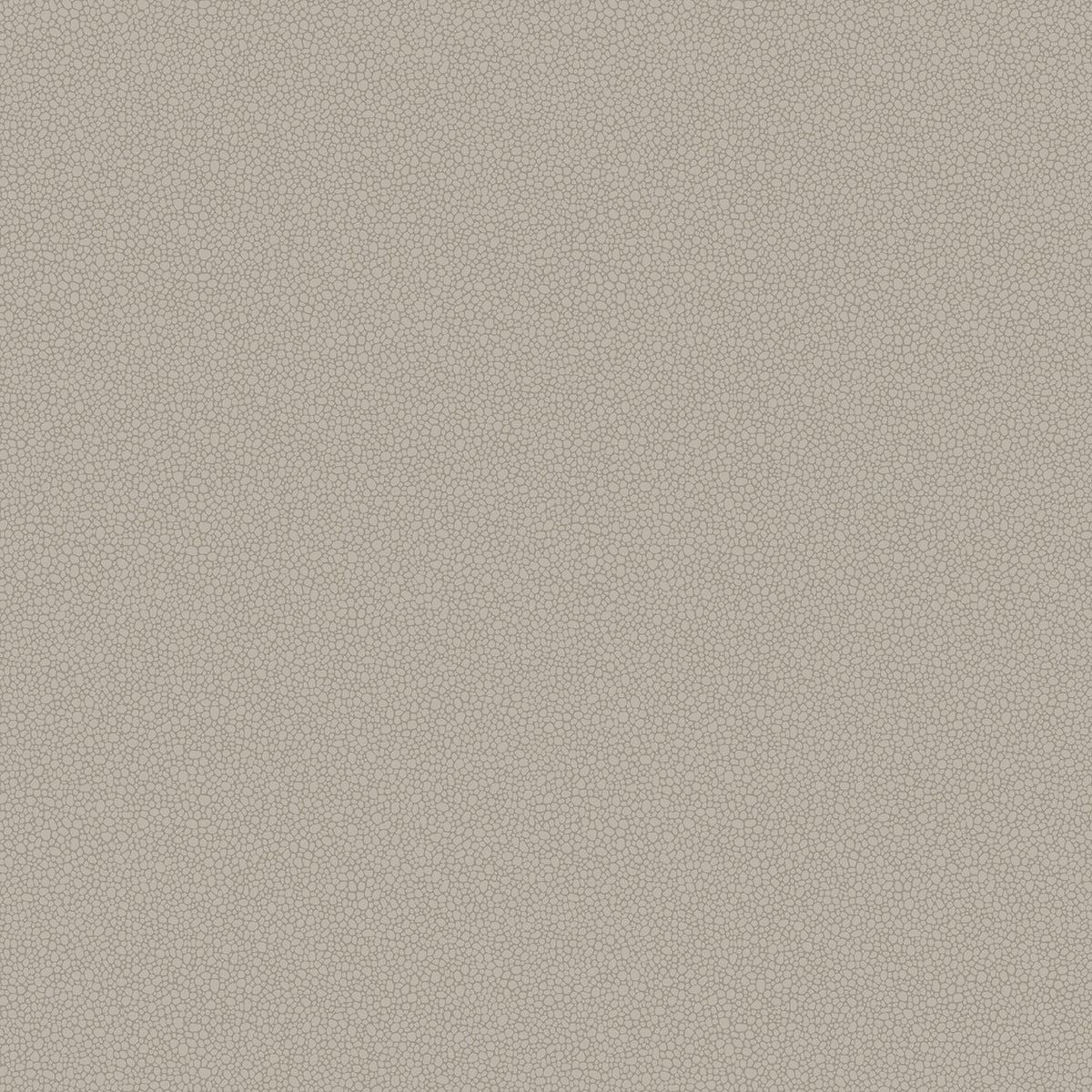 Cole & Son Pebble wallpaper — Shell