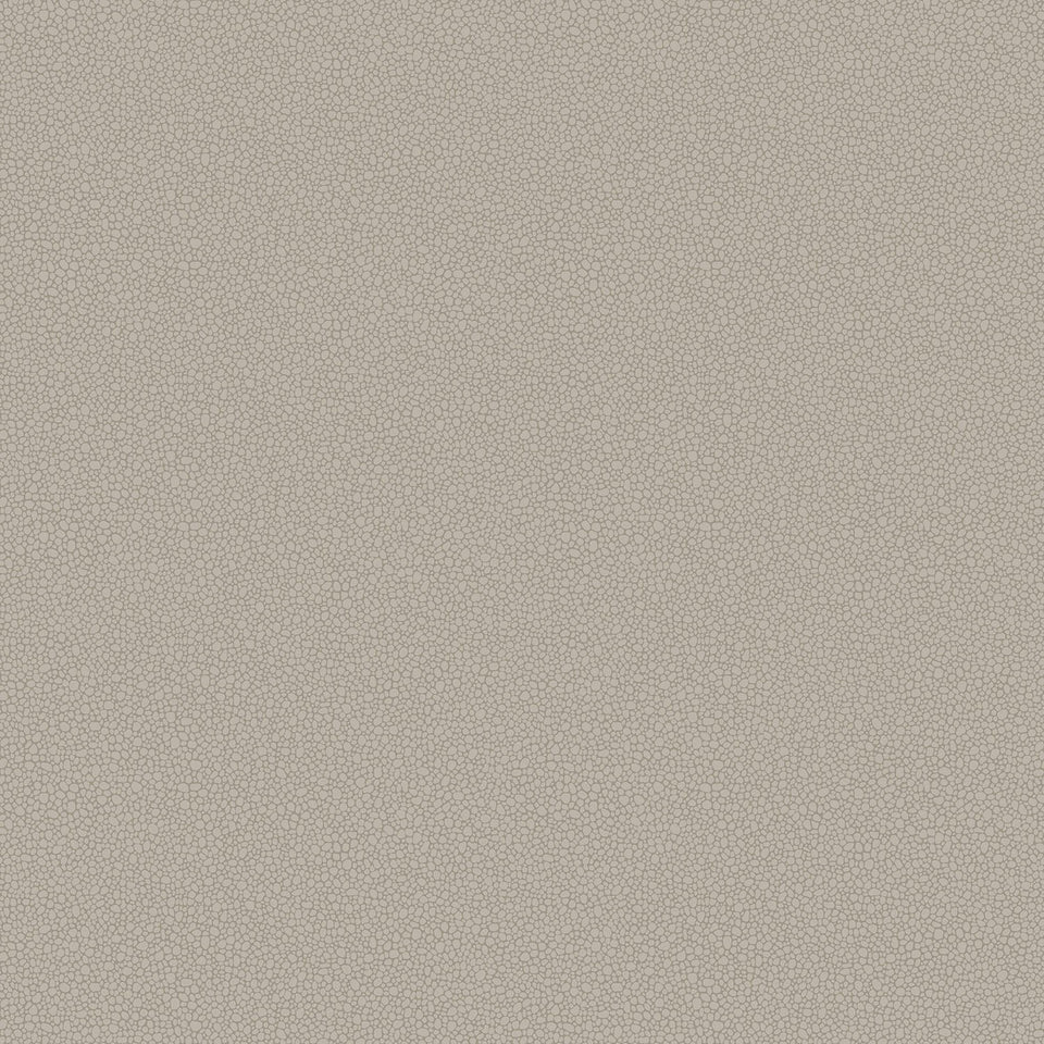Cole & Son Pebble wallpaper — Shell