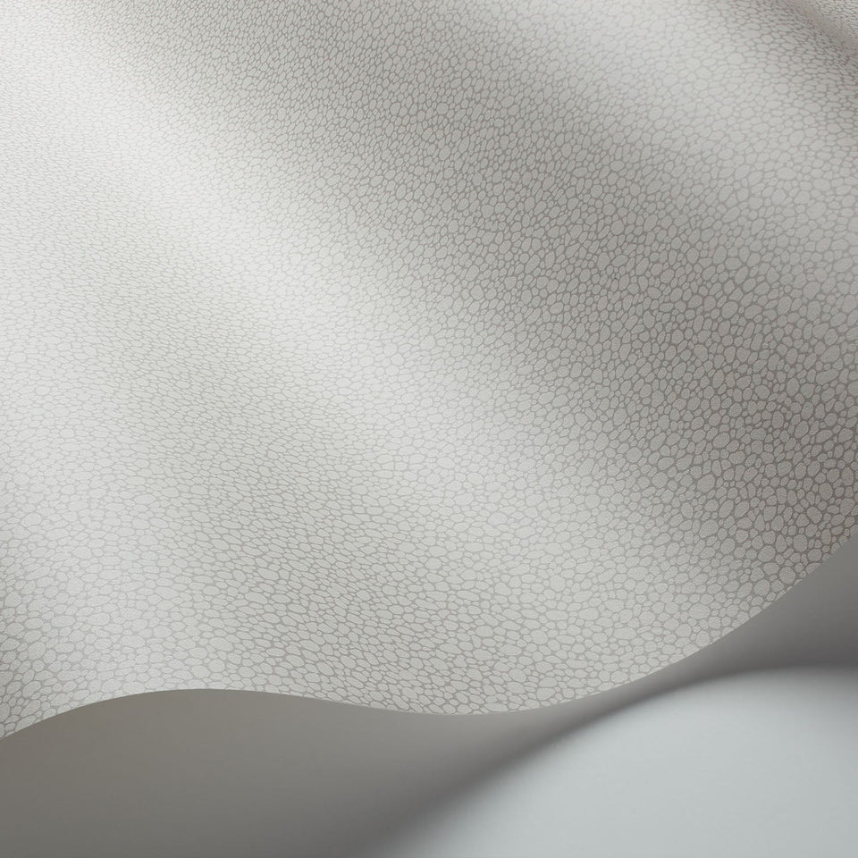 Cole & Son Pebble wallpaper — Shell detail