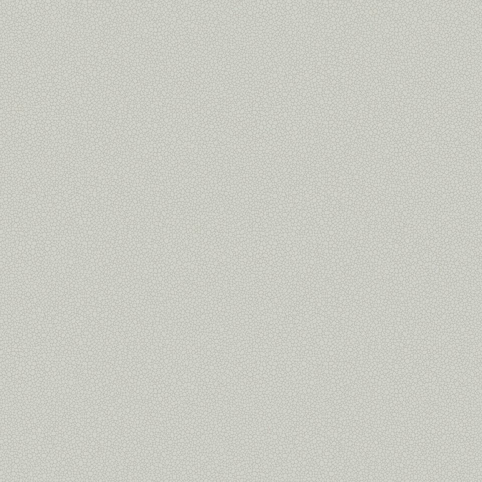 Cole & Son Pebble wallpaper — Grey