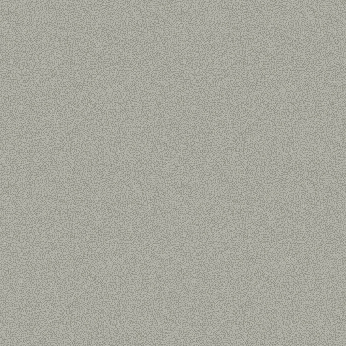 Cole & Son Pebble wallpaper — Dark Grey