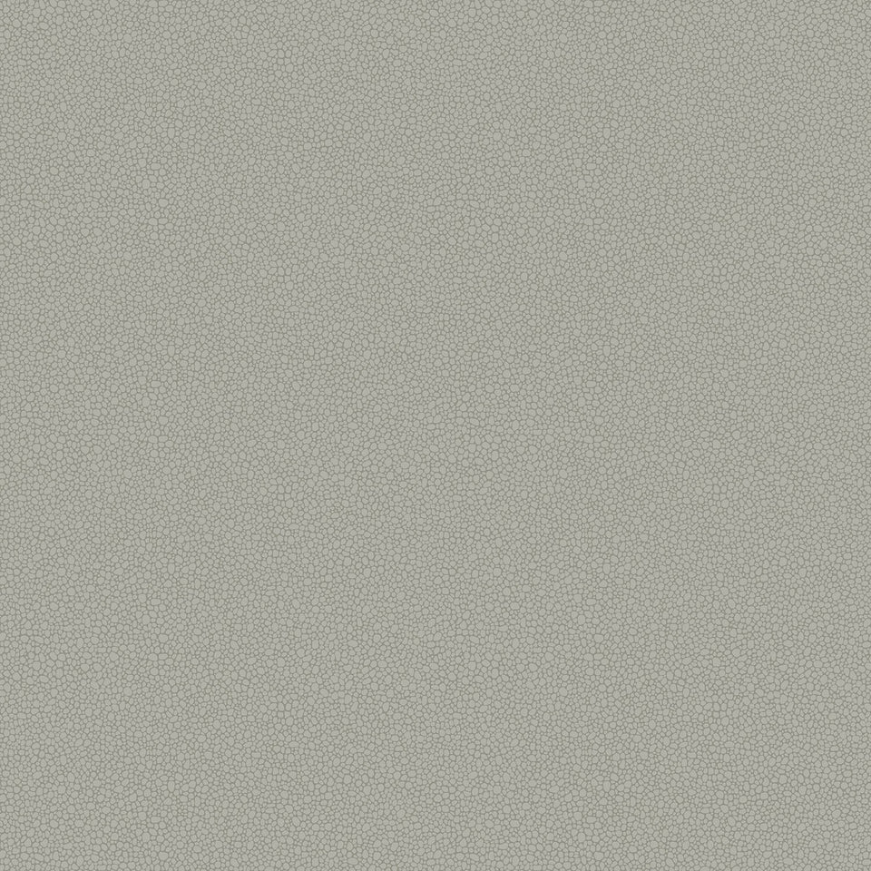 Cole & Son Pebble wallpaper — Dark Grey