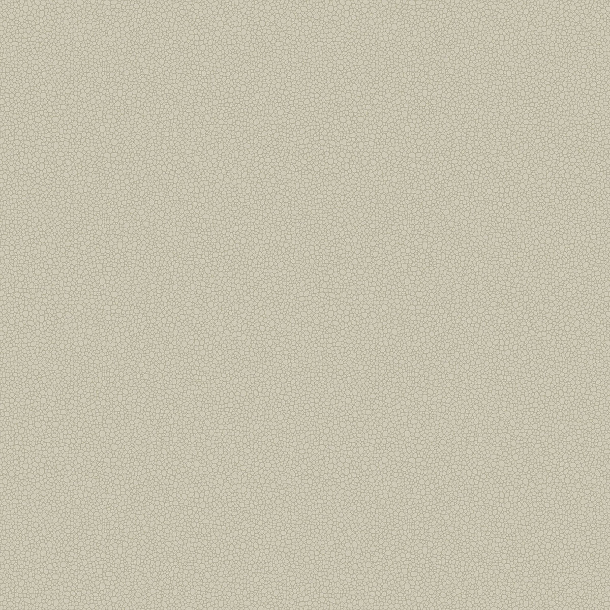 Cole & Son Pebble wallpaper — Safari